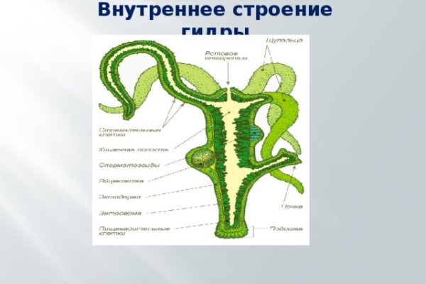 Кракен ссылка тор kraken014 com