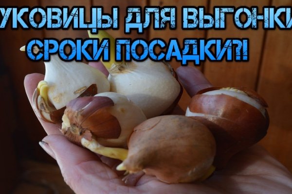 Оригинальные ссылки кракена
