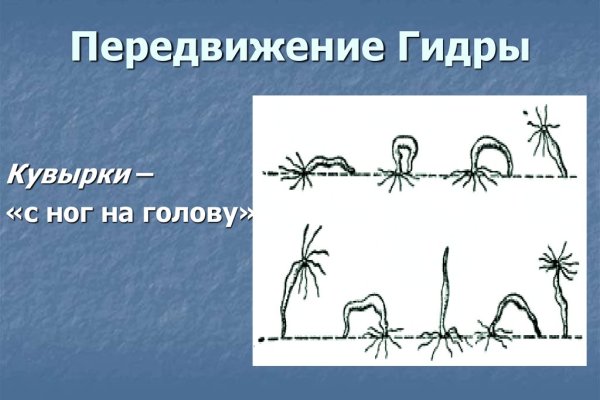 Kraken маркетплейс